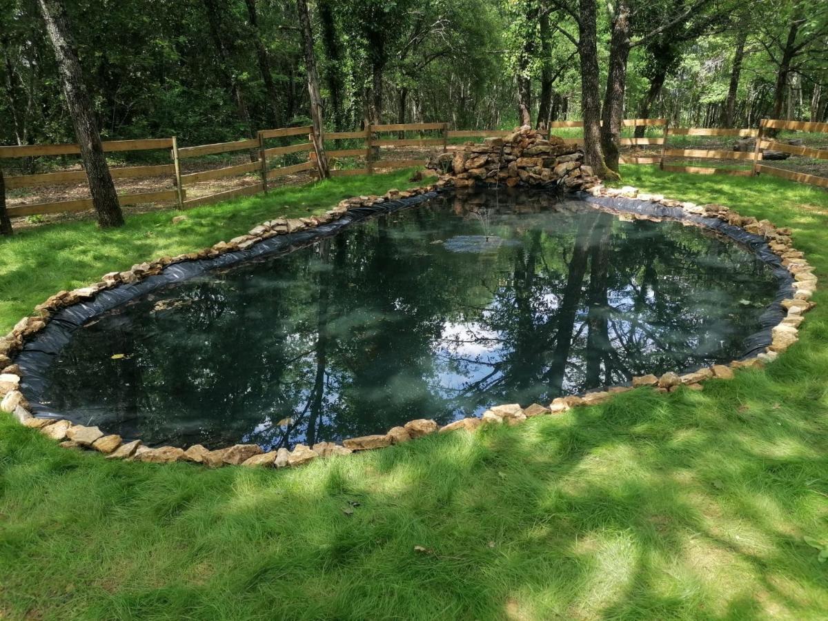 7-Gite-7 Personnes Au Coeur De La Nature /Piscine Saint-Aubin-de-Nabirat Εξωτερικό φωτογραφία