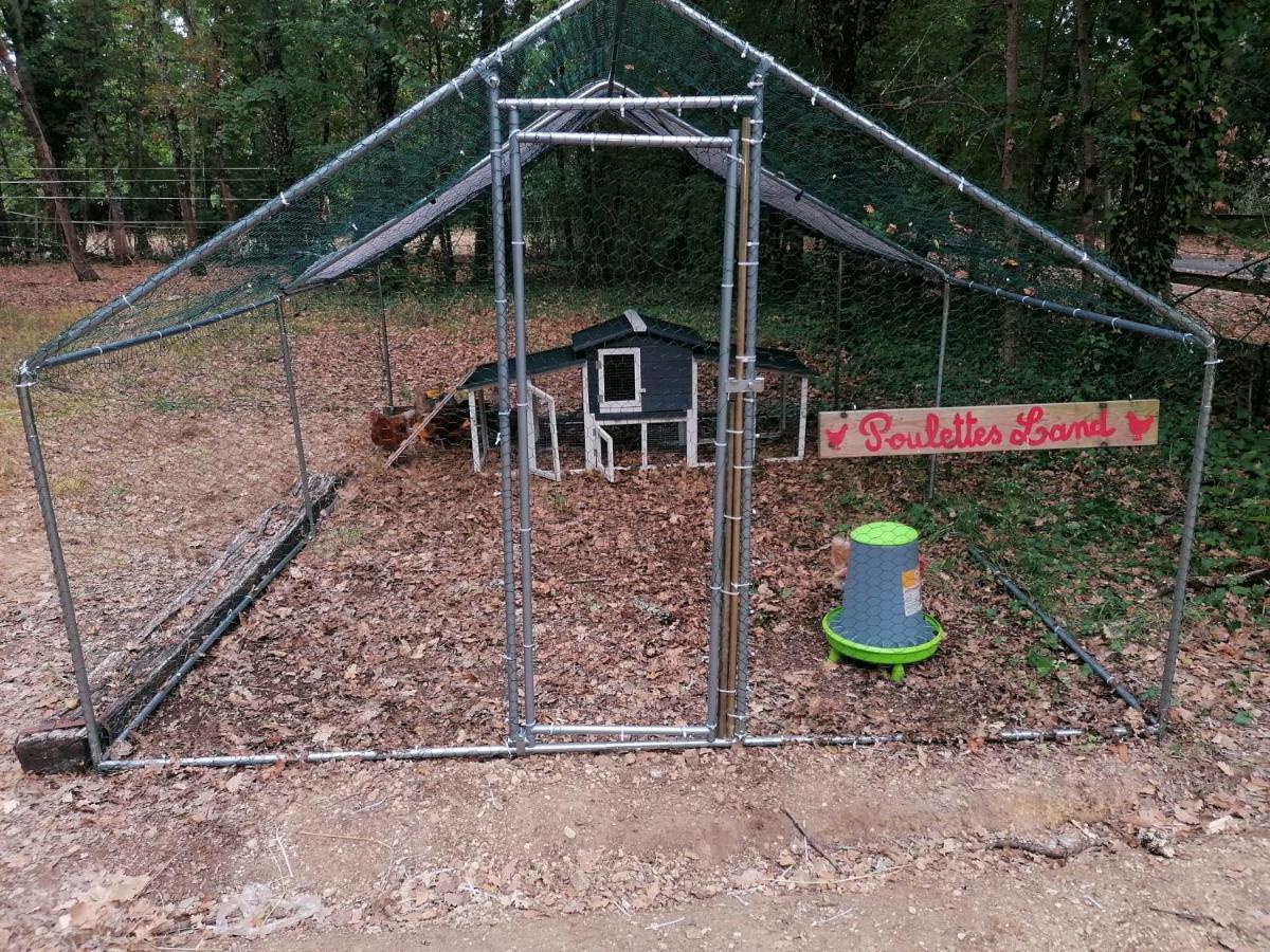 7-Gite-7 Personnes Au Coeur De La Nature /Piscine Saint-Aubin-de-Nabirat Εξωτερικό φωτογραφία
